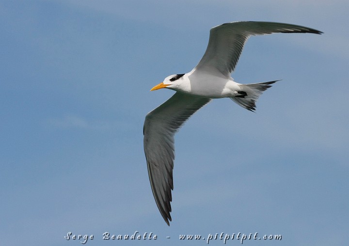 2009-01-04 13-13-32__MG_9710.JPG